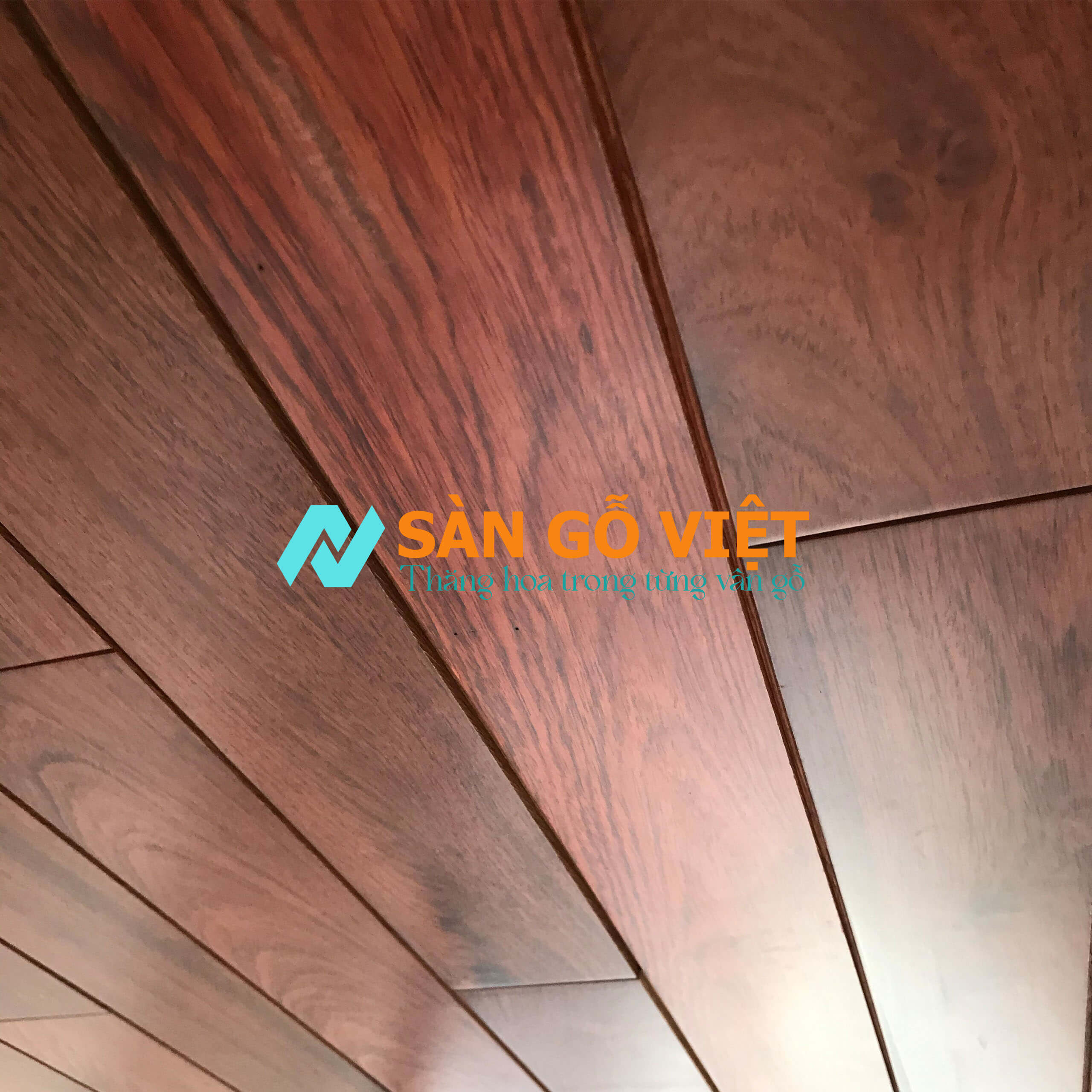 Sản phẩm 1
